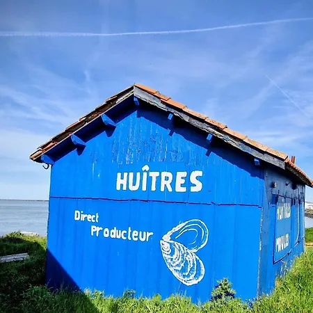 Chez Kuhn A Stylish Oase On The Atlantic Coast Holiday home Arvert